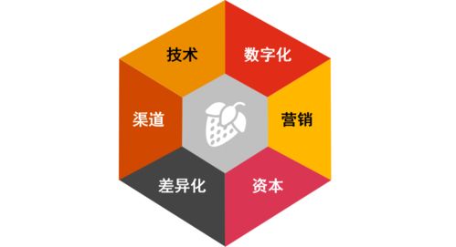 健康食品市場(chǎng)迎風(fēng)口 物聯(lián)網(wǎng)技術(shù)助推產(chǎn)業(yè)新機(jī)遇